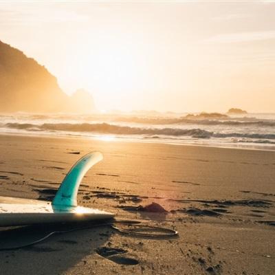 牛宝体育登录地址入口