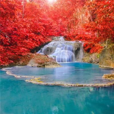 澳门·新葡萄新京威尼斯