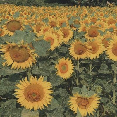 银河国际官网app下载