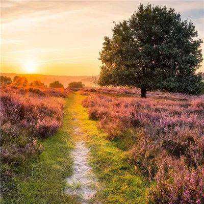 华体育会app官方下载截图