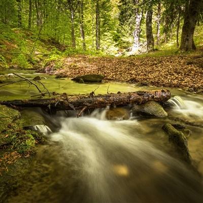 江南足球app下载