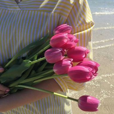 南宫28ng娱乐下载手机版