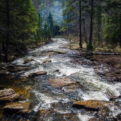 澳门黄金城下载手机版